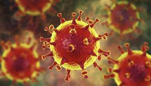 Updated march 22, 2020, 1:13 am edt. Coronavirus Update Toledo Lucas County Health Department