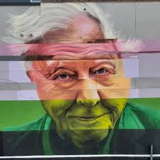 Interview with local artist Catherine Delett!