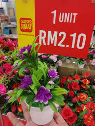 Rumah hiasan bunga tanaman jalan pokok luar gambar pagaran cantik paling impiana pagar jenis taman renek dan laman jual dekorasi. Comelnya Hiasan Pokok Bunga Kb Mall Official Facebook