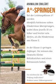 Du träumst davon, mit deinem pferd den busch unsicher zu machen, und möchtest jetzt sofort losreiten? Animalon Erklart Was Ist Ein A Springen Reiten Pferdepflege Springreiten