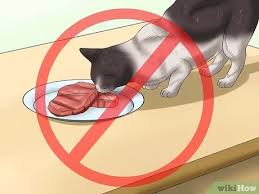 Position an empty soda can on the side of the counter where the cat often jumps and if the cat hits it, the unexpected sound of the can with coins inside it will startle the cat. 3 Ways To Prevent Cats From Jumping On Counters Wikihow