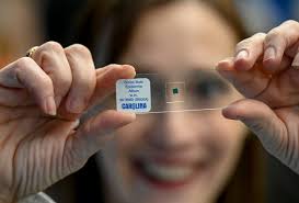 Valley High School biology teacher Kathy Jo Sagwitz learned how to do more  with less for her students. “Before this year, I didn't have a science room  at all,” she said. “I