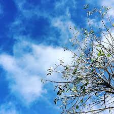 Langit, langit, langit putih dan biru, biru, atmosfer, awan png. Surga Biru Salju Foto Gratis Di Pixabay