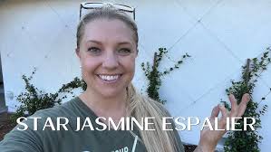 Planting and Training My Star Jasmine