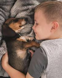 Hi guys, I am a new member to the group. This is my beautiful baby Loki.  Unfortunately after buying him I had come to the realisation about his  background/breeder. I am so