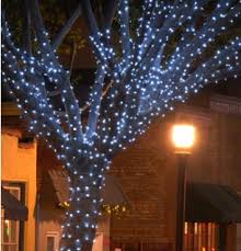 St Louis Outdoor Tree Lights Outdoor Lighting And Landscape Lighting In St Louis Blog