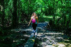 The park was established on october 24, 1974. Costa Rica S Bucket List Destination Corcovado National Park Maximo Nivel