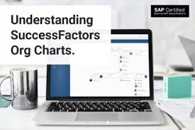 Understanding Org Manager For Successfactors Org Charts
