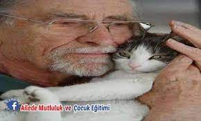 Olen Ese Mektup Insan Sevdiklerinin Kiymetini Ne Zaman Bilmeli Seksen Yasindayim Ve Gecen Yil Yetmis Sekiz Yasinda Ol Cute Cats And Kittens Cats Kittens
