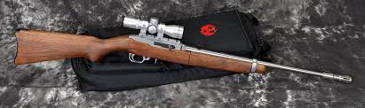 Pin On Ruger 10 22