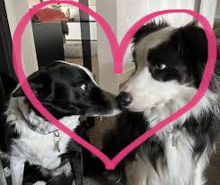 These guys….❤️