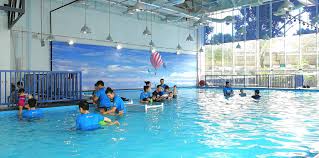 We have a 4000 gallon indoor infinity endless pool. Happy Fish Indoor Heated Pool Bedok