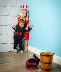 Diana şoşoacă, noua senatoare aur nu încetează să răspândească teorii ale. Best 30 Diana È™oÈ™oacÄƒ Fun On 9gag