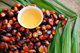 Tunisie L Huile D Olive S Exporte Plutot Bien Pouvoirs D Afrique