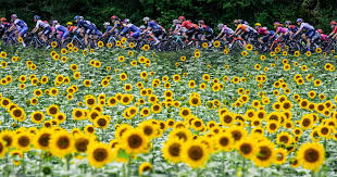 Photo Tour de France femmes. Victoire d'Emma Norsgaard Jorgensen  ...