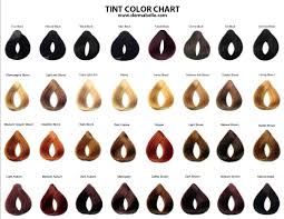 Dermabelle Cosmetics Manufacturing Hair Color Chart Hair Color Red Brown Hair Color
