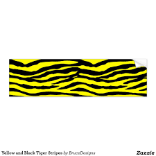 Black And Yellow Stripes Design Yellow And Black Tiger Stripes Bumper Sticker Zazzle Com Tiger Stripes Black Tigers Black Stickers
