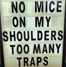 Trap City Gym Jokes Gym Humor Gym Quote