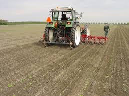 50 years of experience in weed control