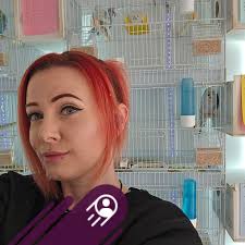 Should baby parakeets be held for hours daily?