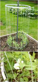 Space the cucumber plants 1 ft (30 cm) apart from one another. 20 Easy Diy Trellis Ideas To Add Charm And Functionality To Your Garden Diy Crafts