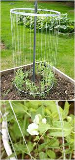 The frame's tall height and leaning structure help make it an appealing focal point in the garden area. 20 Easy Diy Trellis Ideas To Add Charm And Functionality To Your Garden Diy Crafts