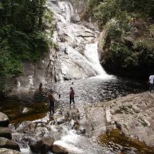 The park is named after the prominent peak of gunung stong (1,422 m), a mountain that is found inside the park. Nature Outdoor Wildlife In Gunung Stong State Park Travelopy