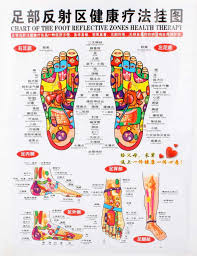Chart Of The Foot Reflective Zone Health Therapy Massage