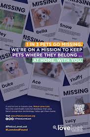 Maybe you would like to learn more about one of these? Lost Found
