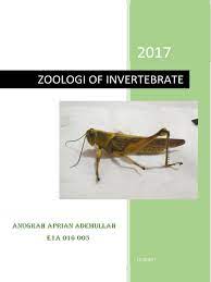 Check spelling or type a new query. Laporan Praktikum Arthropoda Pdf