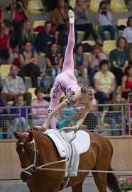 Equestrian Vaulting Equestrian Vaulting World Equestrian Games 2010 Sport Equestrian Vaulting Equestrian Vaulting Equestrian Horse Vaulting Equestrian