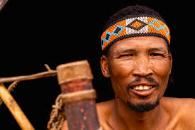 Forever Harnas Wildlife Foundation