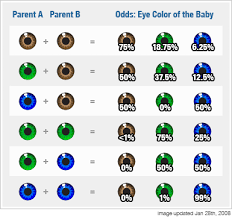 Recesive Genes For Eye Color Recessive Genes Here Is A Eye Color Chart That Is Solely Based On Wtf Fun Facts Fun Facts Weird Facts