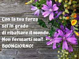 Le 50 dediche più belle, buongiorno con i fiori: Buongiorno Con I Fiori Piu Di 60 Immagini E Un Video Da Dedicare Passione Mamma