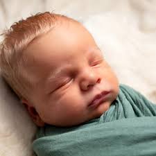 Debbie Dayman Photography...