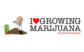 We're fortunate to counsel and represent clients globally as a. Best Seed Banks 10 Marijuana Seeds In Us 2021 Heraldnet Com