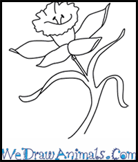 Spring is in the air and so will the smell of tulips very soon. How To Draw Flowers Drawing Tutorials Drawing How To Draw Flowers Blossoms Petals Drawing Lessons Step By Step Techniques For Cartoons Illustrations