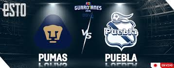 With footlive.com you can follow club puebla results and pumas unam results. ØµØ±Ø§Ø­Ø© Ù„Ø§ ØªØ³ØªØ·ÙŠØ¹ Ø§Ù„ÙƒØ­ÙˆÙ„ Puebla Pumas Cazeres Arthurimmo Com
