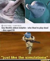O Daiiv Mah 1 Min Ni Al Sea World S Oldest Dolphin Who Liked To Play Dead Dies Aged 55 Just Like The Simulations Ifunny Funny Memes Funny Relatable Memes Stupid Memes