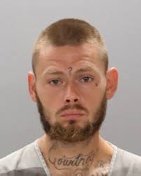 ST. VANNY MARAUDERS = Ellie the head of VANNY Roblox crim Momments. pm and  ill post ur videos,pictures :33