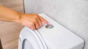 7 Common Problems With Dual Flush Toilets | Angi