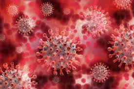Informationen zur impfung in mehreren sprachen finden sie hier. Coronavirus Gemeinde Stockelsdorf