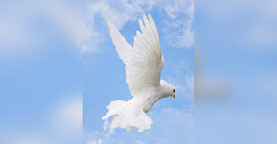 Obituary information for Sam Singletary