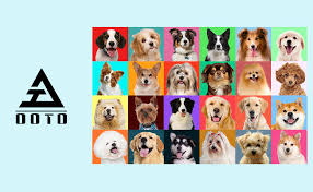 In contrast, buying australian kelpies from breeders can be prohibitively expensive. Ooto Pet Grooming Brush 2 In 1 Dual Head Dog Deshedding Tool Effectively Reduce Shedding By Up To 95 For Dogs And Cats And All Hair Types Amazon Co Uk Pet Supplies