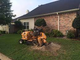 Stumps r us stump grinding. Nestor S Stump Grinding Tree Services Home Facebook