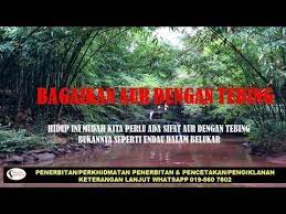 Ketua kampung selalu berpesan mengamalkan sikap bagai aur dengan tebing antara penduduk kampung supaya kehidupan sejahtera bersama. Bagaikan Aur Dengan Tebing Youtube