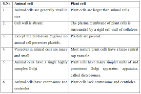 Spatial analysis or spatial statistics includes any of the formal techniques which studies entities using their topological, geometric, or geographic properties. Quotes About Animal Cells 21 Quotes