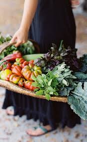 8 29 15 Saturday Morning Farmer S Market Farmers Market Farmer Vegetables
