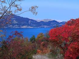 I migliori percorsi in San Zeno di Montagna, Veneto (Italia) | Wikiloc