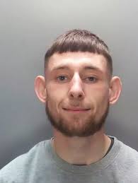 Named and shamed: 217 of the criminals dealt with by our courts in 2020 so  far